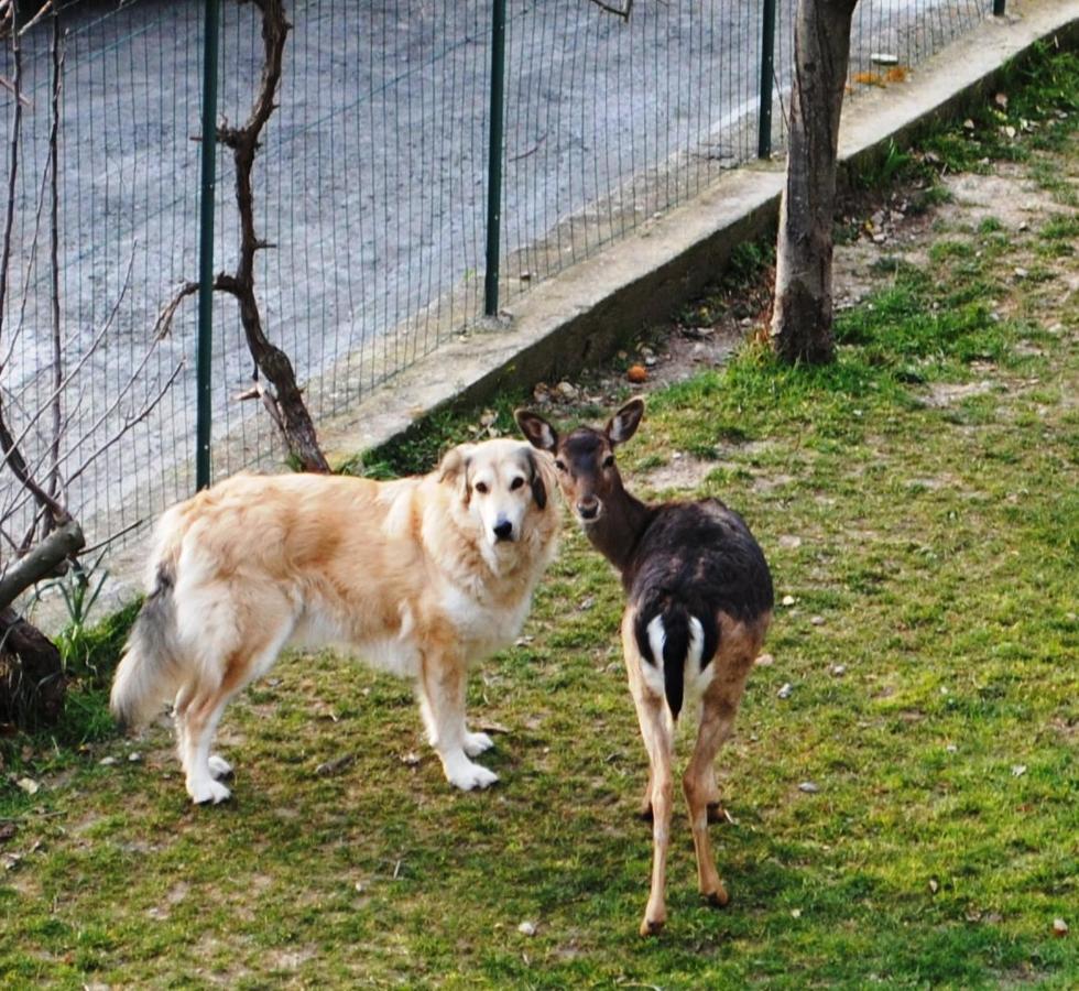 Segni E Impronta * Finale Ligure