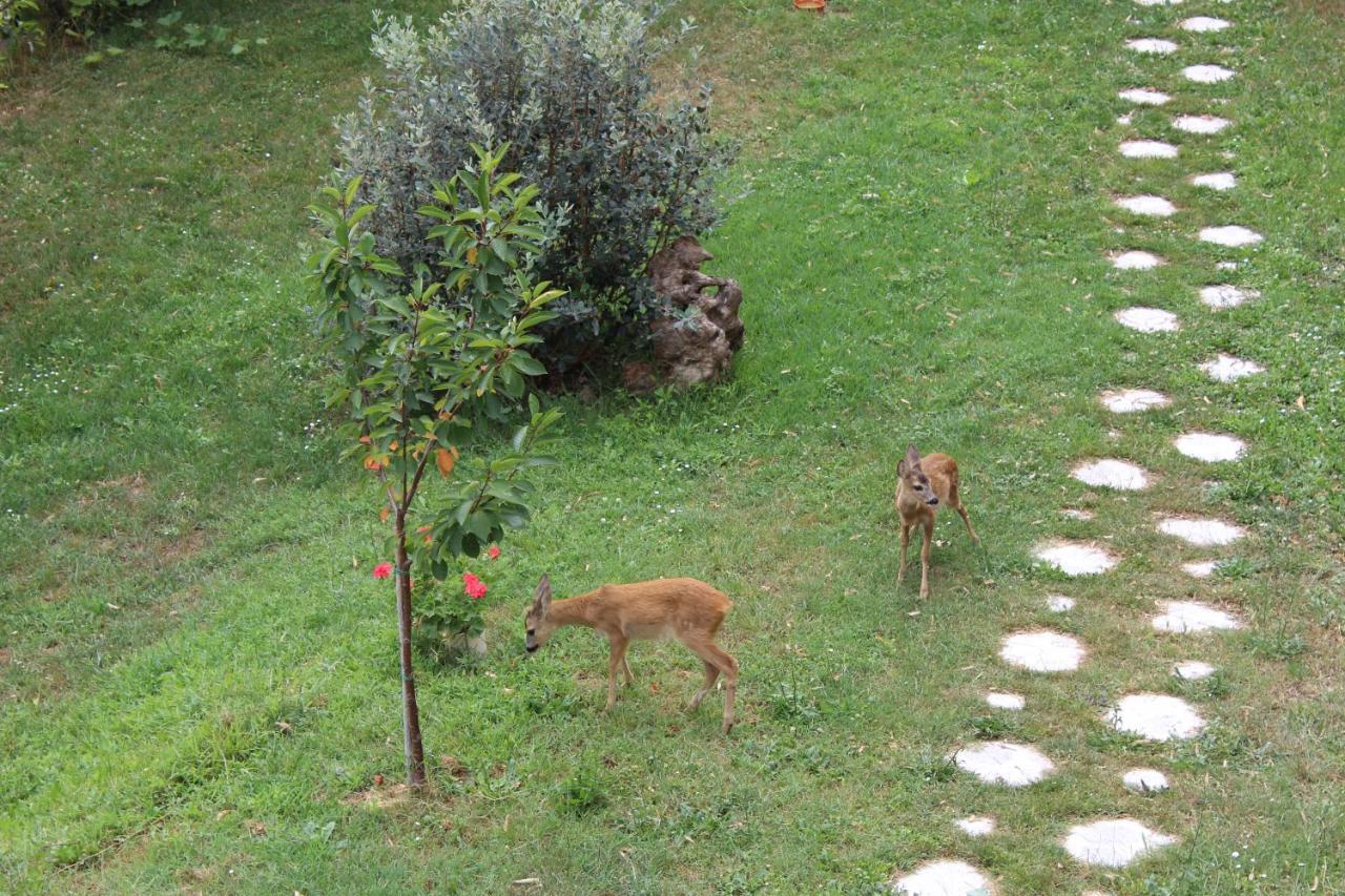 Segni E Impronta Frühstückspension