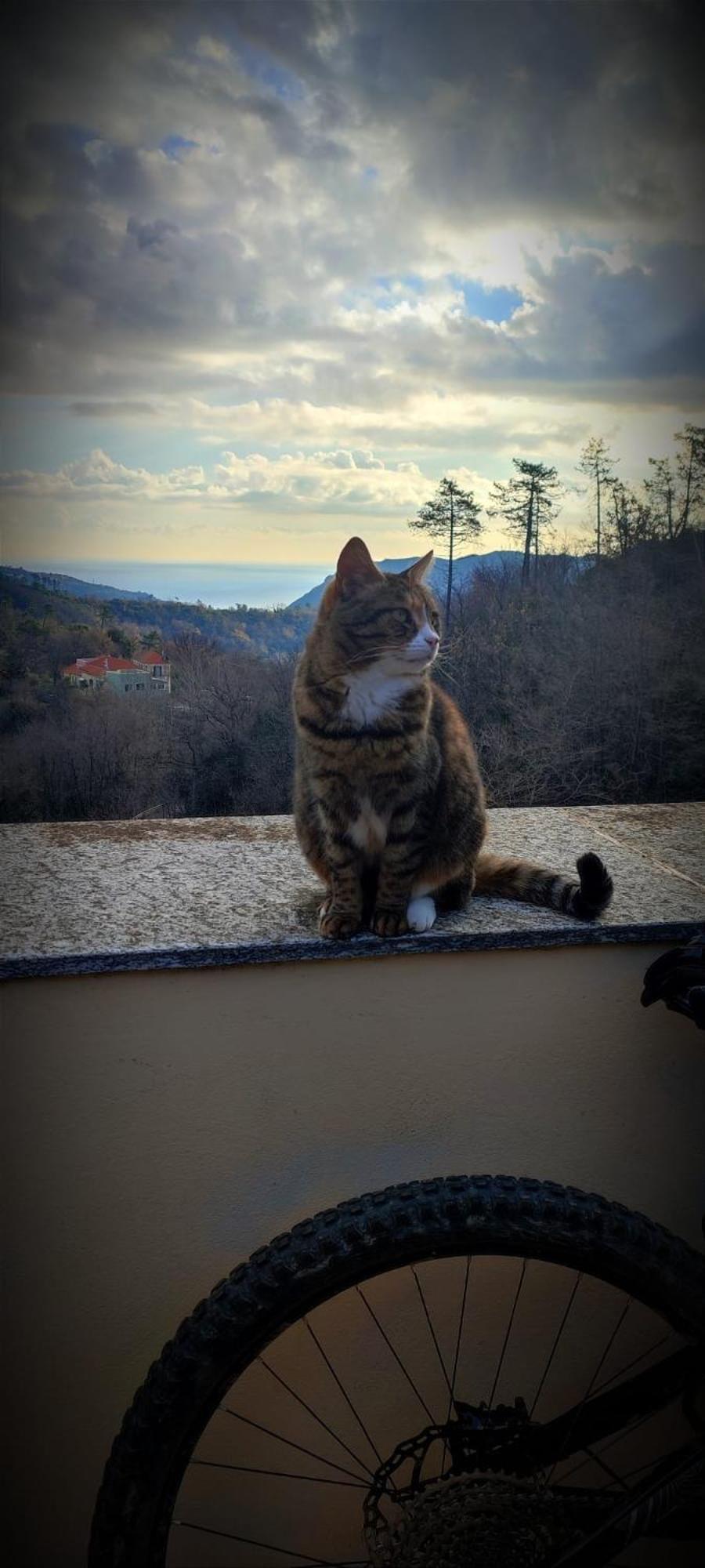 Frühstückspension Segni E Impronta *